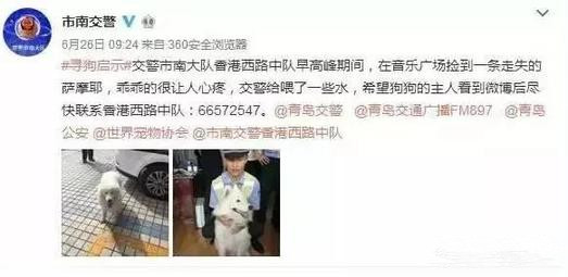 有問題找警察，薩摩耶派出所報案，不注意這件事，對狗狗致命，警察蜀黍卻幫不上忙！