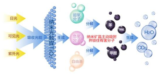 洋蔥可以除甲醛？民間流傳土方法可信嗎？