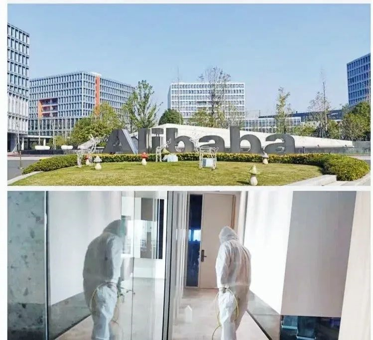 吾志所向，一往無前 | 創綠家2020年大事記