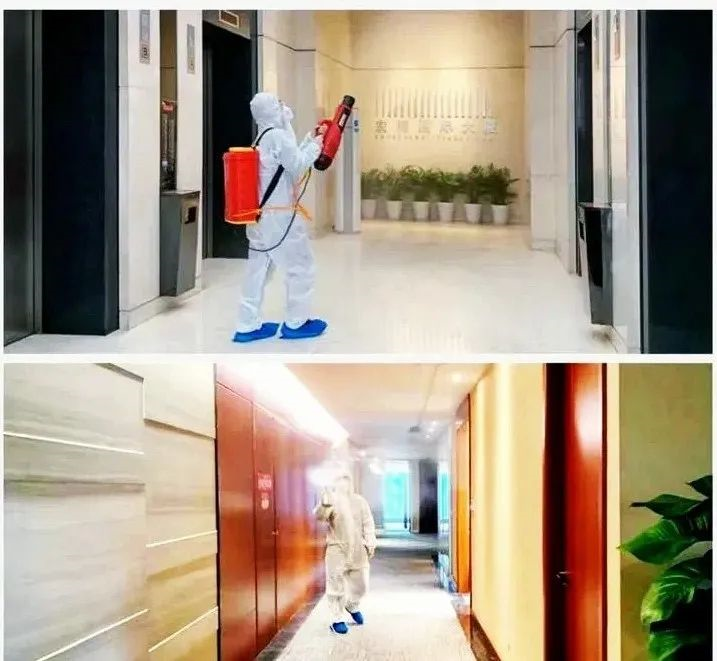 吾志所向，一往無前 | 創綠家2020年大事記