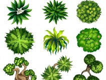 可以凈化室內空氣的植物，這二十種您需要好好了解一下！
