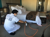 室內空氣凈化與室內空氣治理的差距究竟在哪里？