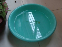 裝修完僅靠兩盆冷水就能除甲醛？這個(gè)說法連網(wǎng)友都出來辟謠！大家別再相信了！