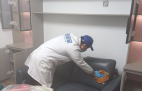 哪種方法除甲醛才是真正有效的呢？