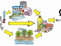 食品中有塑化劑嗎？這些食品中含有大量塑化劑，食用時(shí)一定要注意！