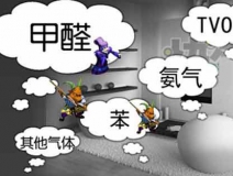 怎樣有效去除甲醛？