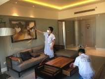 為什么那么多朋友做除甲醛加盟會失?。?></div>
                                <div   id=