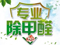 除甲醛公司的專(zhuān)業(yè)性表現(xiàn)在哪些方面？